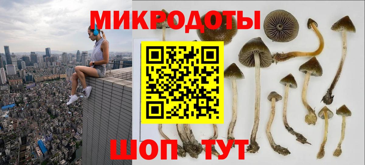Качканар  Галлюциногенные грибы Cubensis  Вход с VPN 
