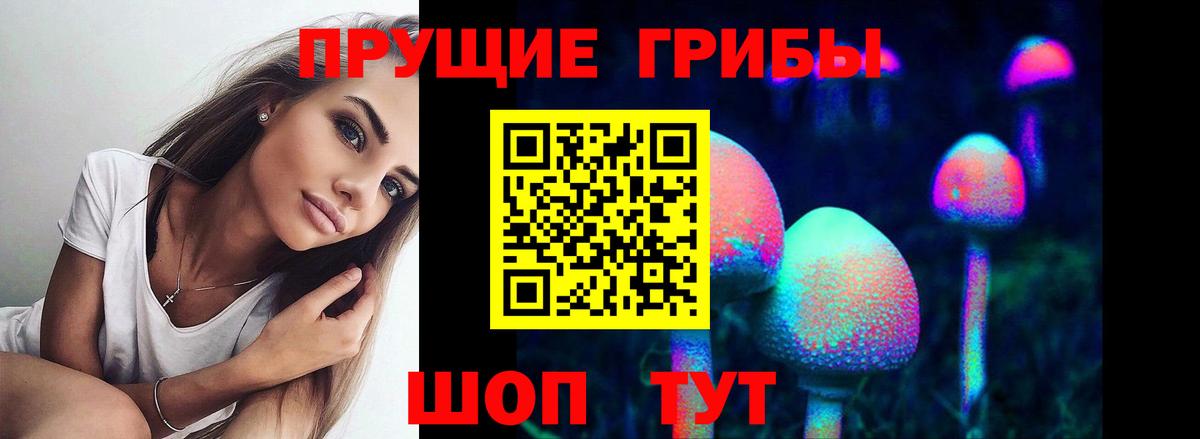 Псилоцибиновые грибы Psilocybine cubensis Качканар